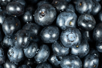 Fresh blueberries in drops of water close-up, berry background