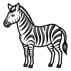 zebra vector illustration