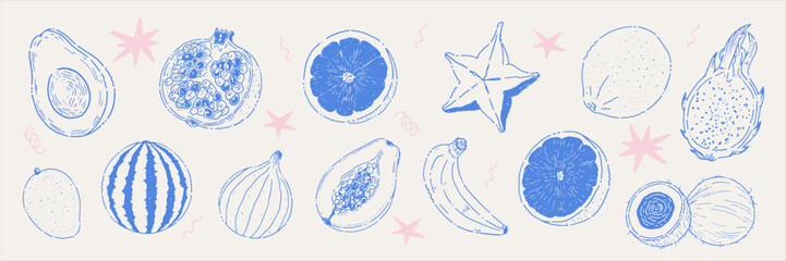 Set of tropical fruits and decorative botanical elements in hand-drawn line art style. Includes mango, fig, lime, grapefruit, banana, orange, lemon, coconut, and other exotic fruits. © plumikodesign