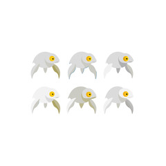 Fototapeta premium different albino sea turtle set 