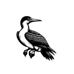 Obraz premium Black and White Illustration of a Cormorant Bird.