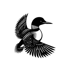 Fototapeta premium Black and White Loon Bird in Flight.