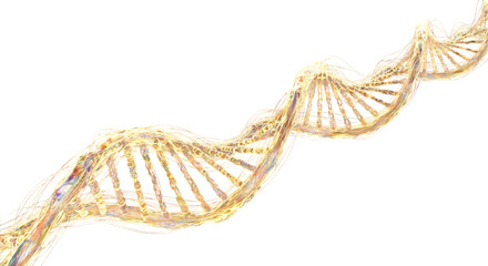 Golden dna helix isolated on transparent background