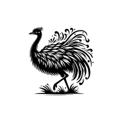 Fototapeta premium Stylized Black Silhouette of an Emu Bird.