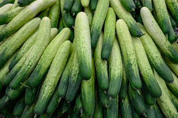 규칙적으로 쌓은 여러개의 오이들 