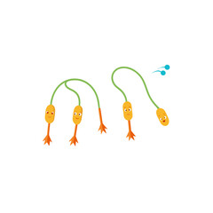 Obraz premium different kelp jump rope toy set 