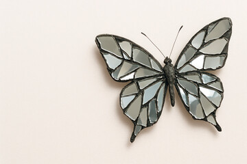 Decorative butterfly with mirrored wings on a light background. Space for text.