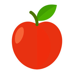 Perfection Apricot Fruit Illustration on White Background – Realistic Botanical Vector