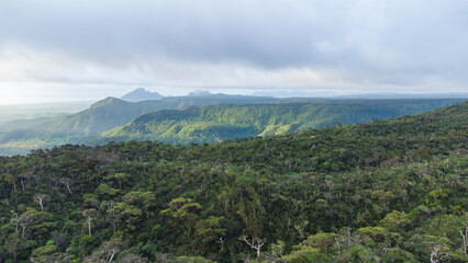 Fototapeta premium Luftaufnahme des tropischen Regenwaldes in den Bergen von Mauritius bei Sonnenuntergang