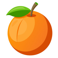 Royal Orange Apricot Fruit Illustration on White Background – Realistic Botanical Vector


