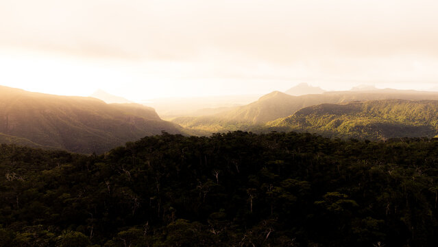 Luftaufnahme des tropischen Regenwaldes in den Bergen von Mauritius bei Sonnenuntergang