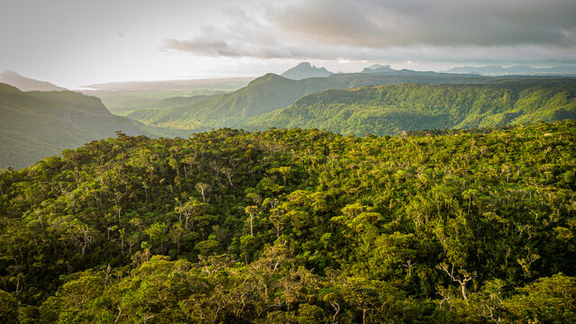 Luftaufnahme des tropischen Regenwaldes in den Bergen von Mauritius bei Sonnenuntergang