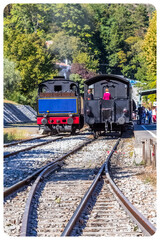 Train touristique des Cévennes à Saint-Jean-du-Gard