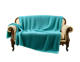 Elegant Sofa with Turquoise Throw Blanket