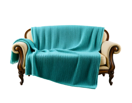 Elegant Sofa with Turquoise Throw Blanket