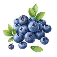 Fototapeta premium Fresh blueberries antioxidant rich superfood healthy eating concept isolated on black background close up view