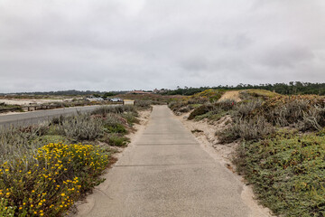Fototapeta premium Moss Beach / Spanish Bay Beach, 17-Mile Drive is a scenic road through Pebble Beach and Pacific Grove on the Monterey Peninsula in California. 