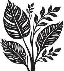 Obraz premium Elegant black and white botanical leaves design for modern decor
