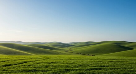 Obraz premium Green hills under clear skies
