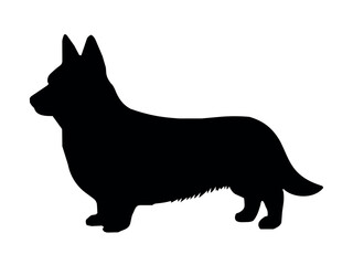 Corgi dog silhouette. Vector illustration silhouette of a Corgi dog on a white background. Pets