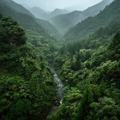 Obraz premium Lush valley, misty mountains