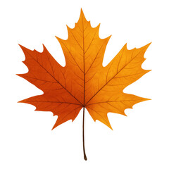 Fototapeta premium A Vibrant Orange Autumn Leaf Glowing Against a Soft Background, Capturing the Essence of Fall with its Intricate Veins and Lustrous Color.