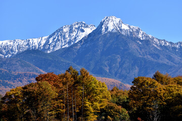 錦秋の八ヶ岳　冠雪と紅葉の競演