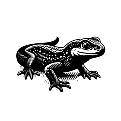 Fototapeta premium Stylized Black and White Gecko Woodcut Illustration.