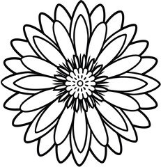 An isolated white flower stands out on a stark black background, creating a bold, black-and-white visual