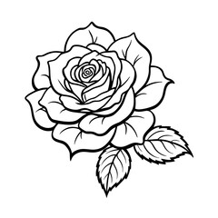 Vintage pink rose blossom vector illustration with a seamless floral pattern on a white background