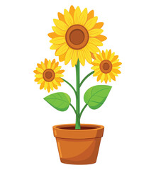Obraz premium A bright yellow sunflower blossom with a single green leaf blooms in a pot, isolated on a clean white background