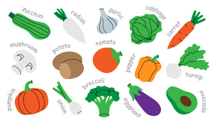 Colorful vegetables with names. Healthy eating, vegan food and organic lifestyle concept. Organic farm vegetables.