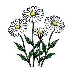 A vibrant bouquet of yellow daisy and camomile flowers blossoms in the spring garden