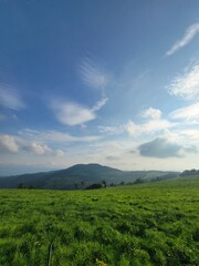 Fototapeta premium Scenic landscape featuring lush green meadows meeting a vibrant blue sky with soft, white clouds.