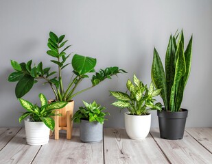 Fototapeta premium A vibrant collection of potted plants, including succulents and ferns, arranged on a rustic wooden table, showcasing their lush green foliage and unique textures.