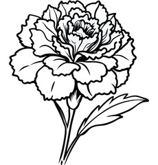 Obraz premium Hand drawn vector poppy flower isolated on white background floral illustration design