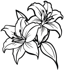 Fototapeta premium Black and white lily flower vector illustration isolated on white, a vintage floral design element