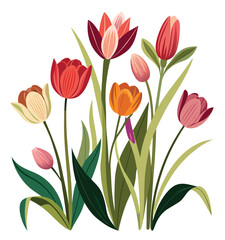 Bouquet of colorful tulip flowers with fresh green leaves in spring bloom