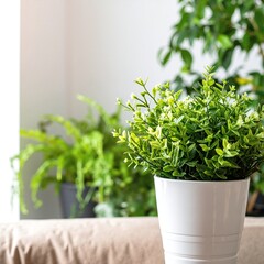 Fototapeta premium A vibrant pot filled with lush green plants, showcasing various leaf shapes and textures, set against a soft, neutral background for contrast.