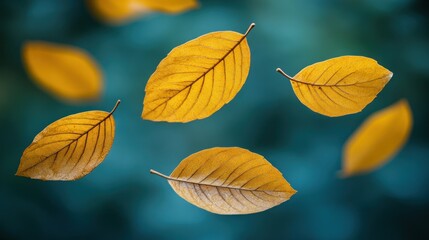 Golden autumn leaves, suspended in mid-air