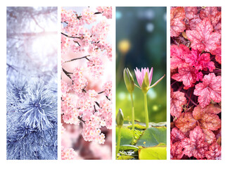Set of nature banners depicting natural world. Four season of year. Each one features scene of nature, from snow of winter to vibrant leaves of fall. Perfect  for showcasing of changing seasons