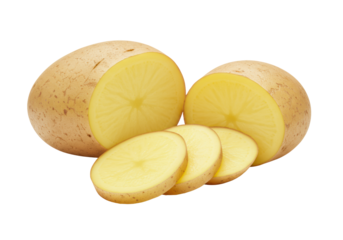 Organic russet potatoes, one whole and one sliced revealing pale yellow flesh, isolated on transparent studio background with copy space, soft light. Concept of wholesome natural ingredients