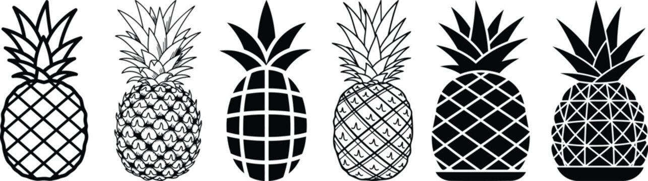 A collection of six different pineapple icons and silhouettes in various styles, including outline and filled versions. 