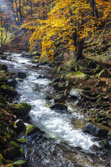 Autumn cascade flowing through a rocky stream in a forest with vibrant foliage and mossy rocks. The Mala Fatra national park in Slovakia, Europe.