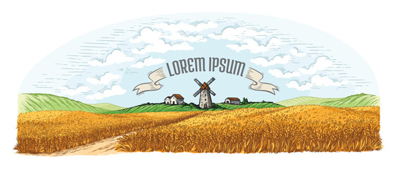 Rural field with ripe wheat on background of mill, village and clouds. color vector illustration © Salvaggio