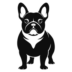 French Bulldog Standing Black and White Illustration