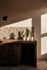 Desert Modern kitchen with reclaimed wood island, stone backsplash, and autumn cacti arrangement