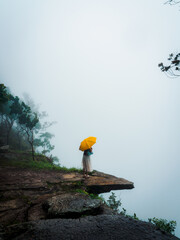 Woman walking on rock, on the edge of a high cliff, in dense forest with thick fog. A yellow...