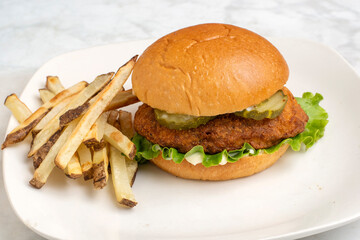  chicken sandwich with french fries