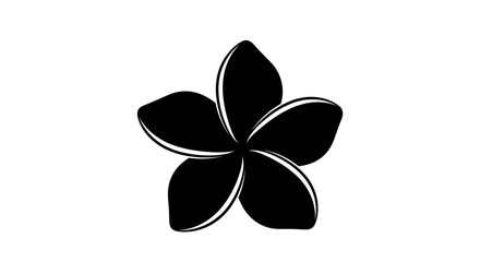  Stylized Black And White